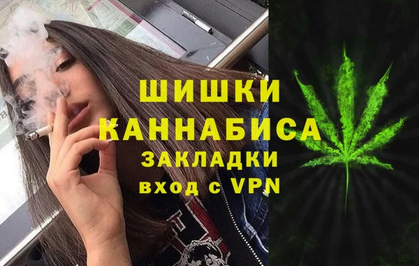 PSILOCYBIN Алексеевка