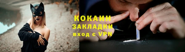 тгк Алексин