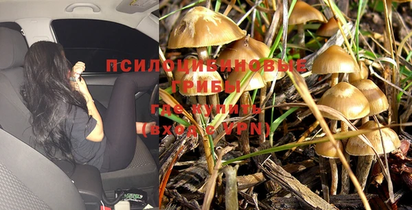 мдпв Покров
