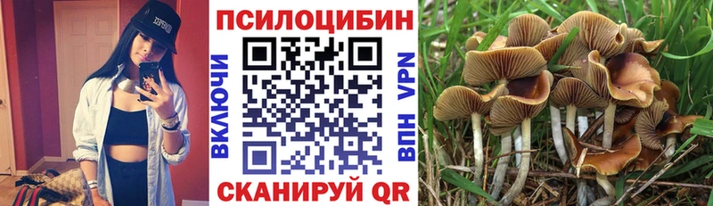 Галлюциногенные грибы ЛСД  сайты даркнета состав  Санкт-Петербург  купить наркотик 